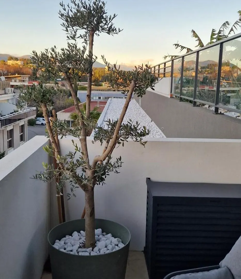 Bien Design Avec Jacuzzi Et Piscine Apartment Villeneuve-Loubet